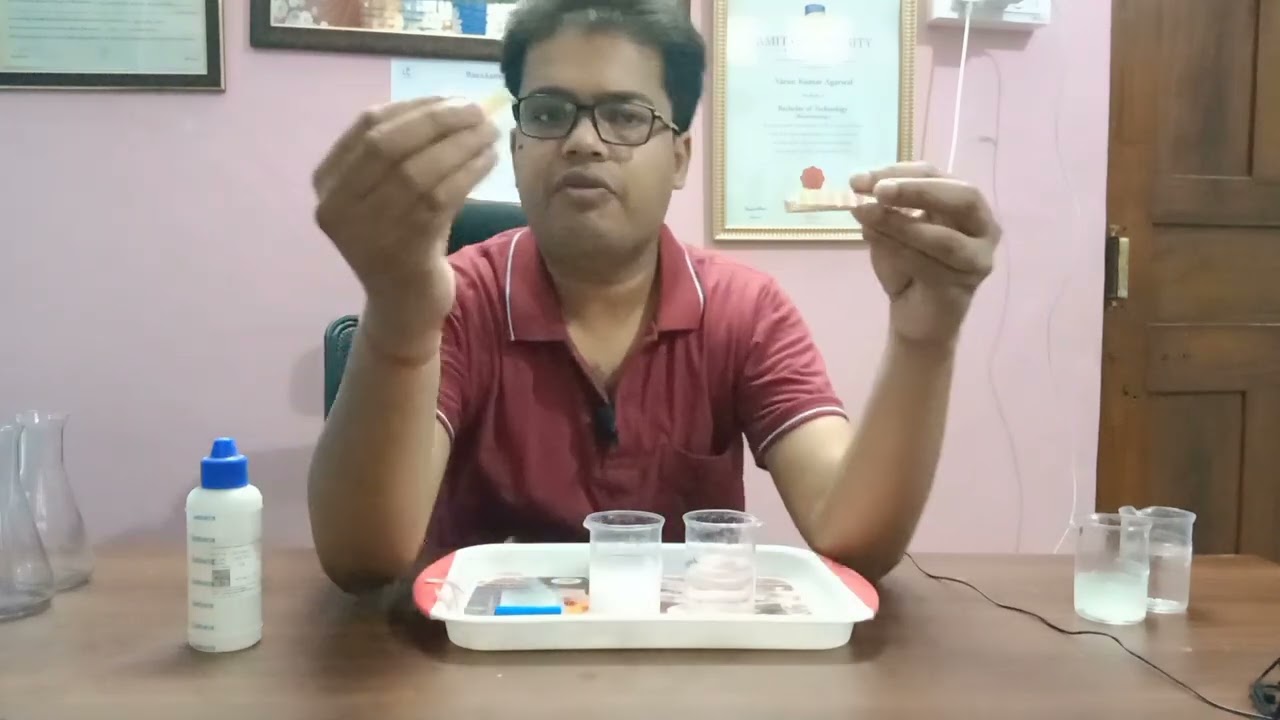 Acid & Base Test