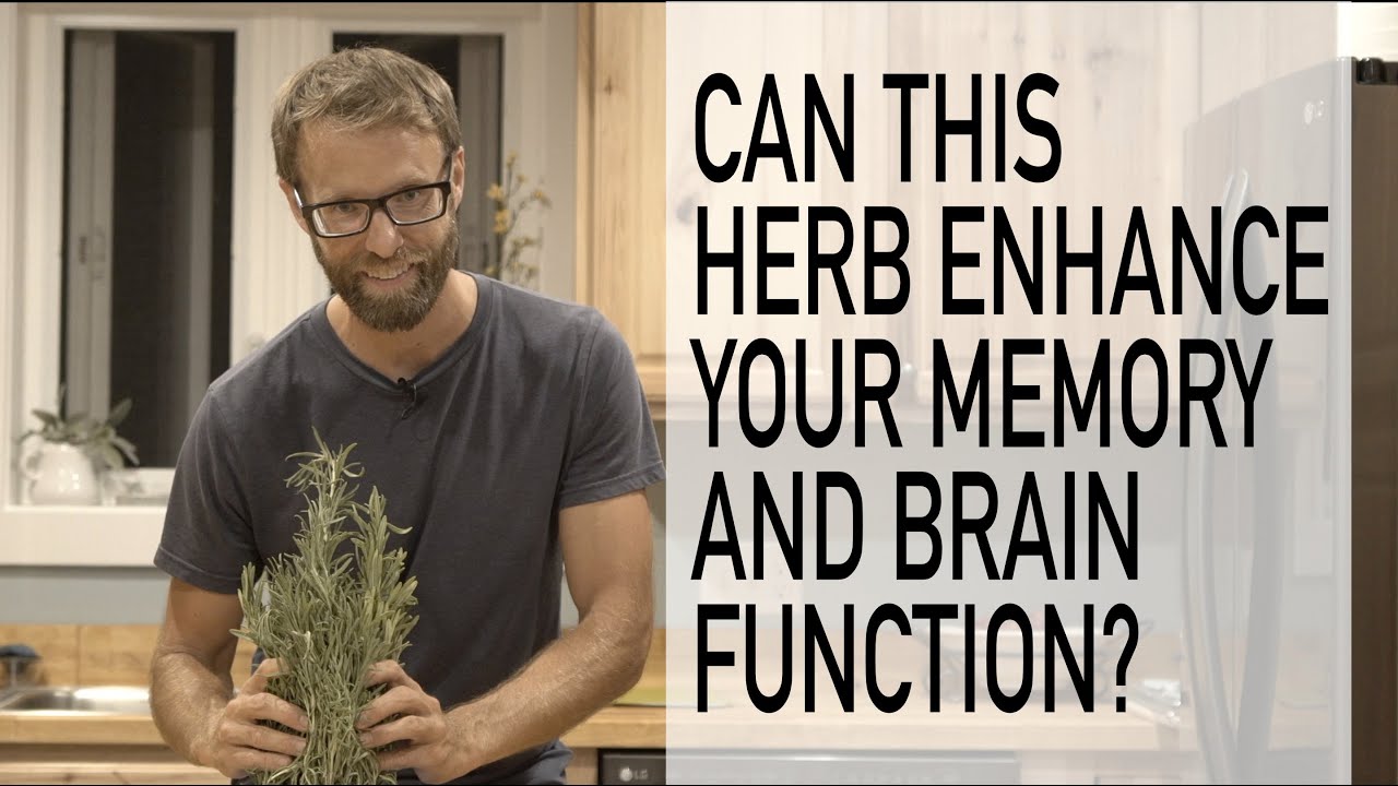 Does the Herb Rosemary Enhance Memory and Brain Function?
