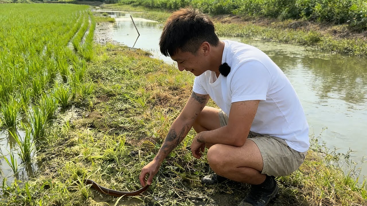 抓鱔魚抓到停不下來！太過癮了，這樣的老闆請給我來一打#大熱門