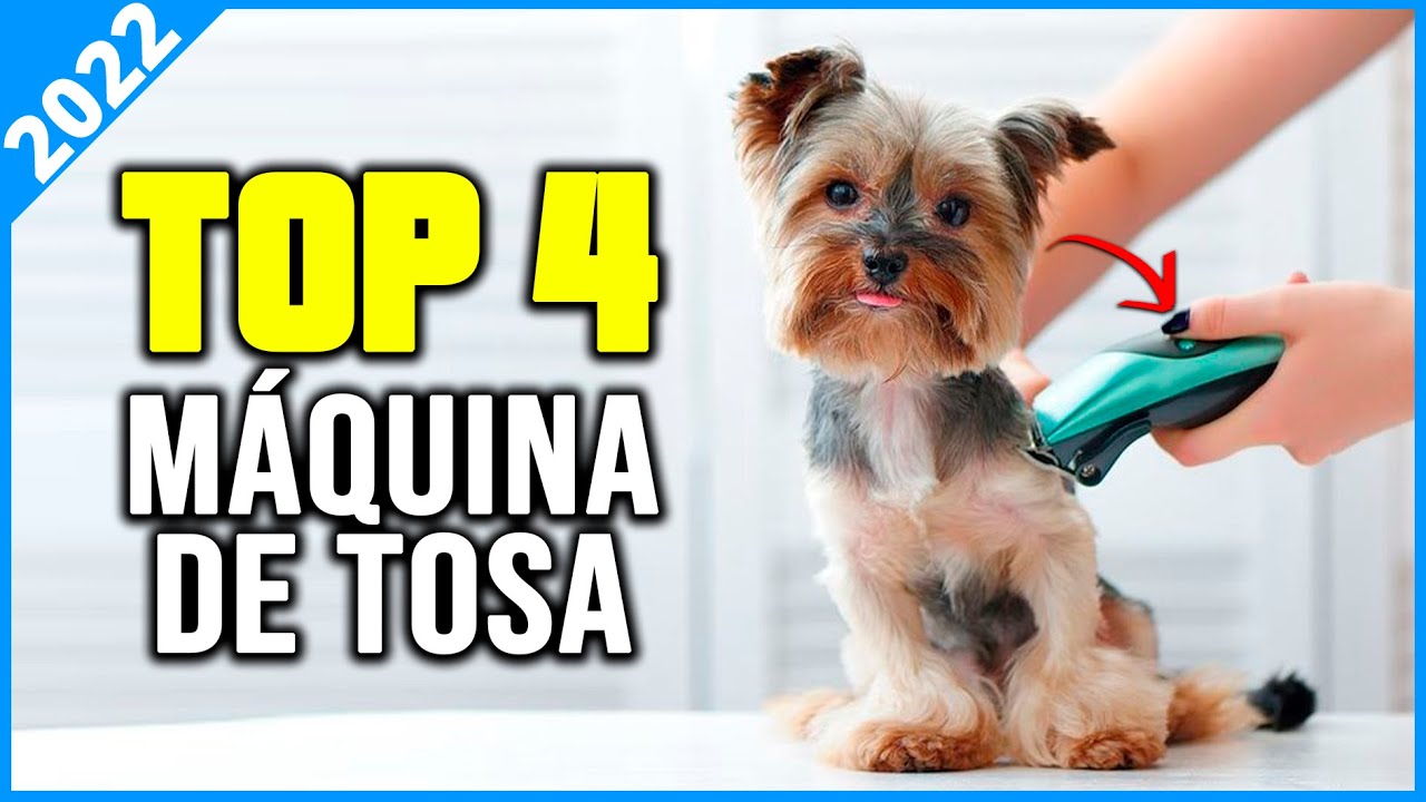 As 4 Melhores Máquina De Tosa Cachorro / Máquina De Tosa Em 2022 !