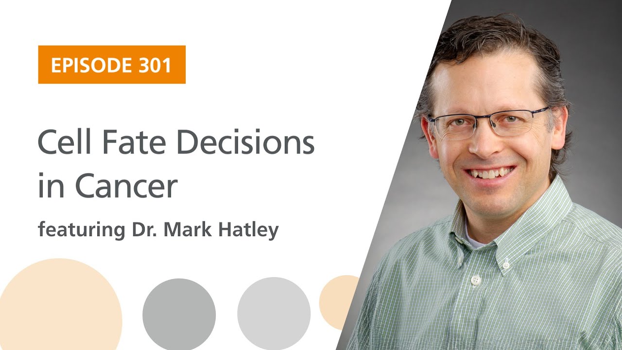Cell Fate Decisions in Cancer featuring Dr. Mark Hatley | The Stem Cell Podcast