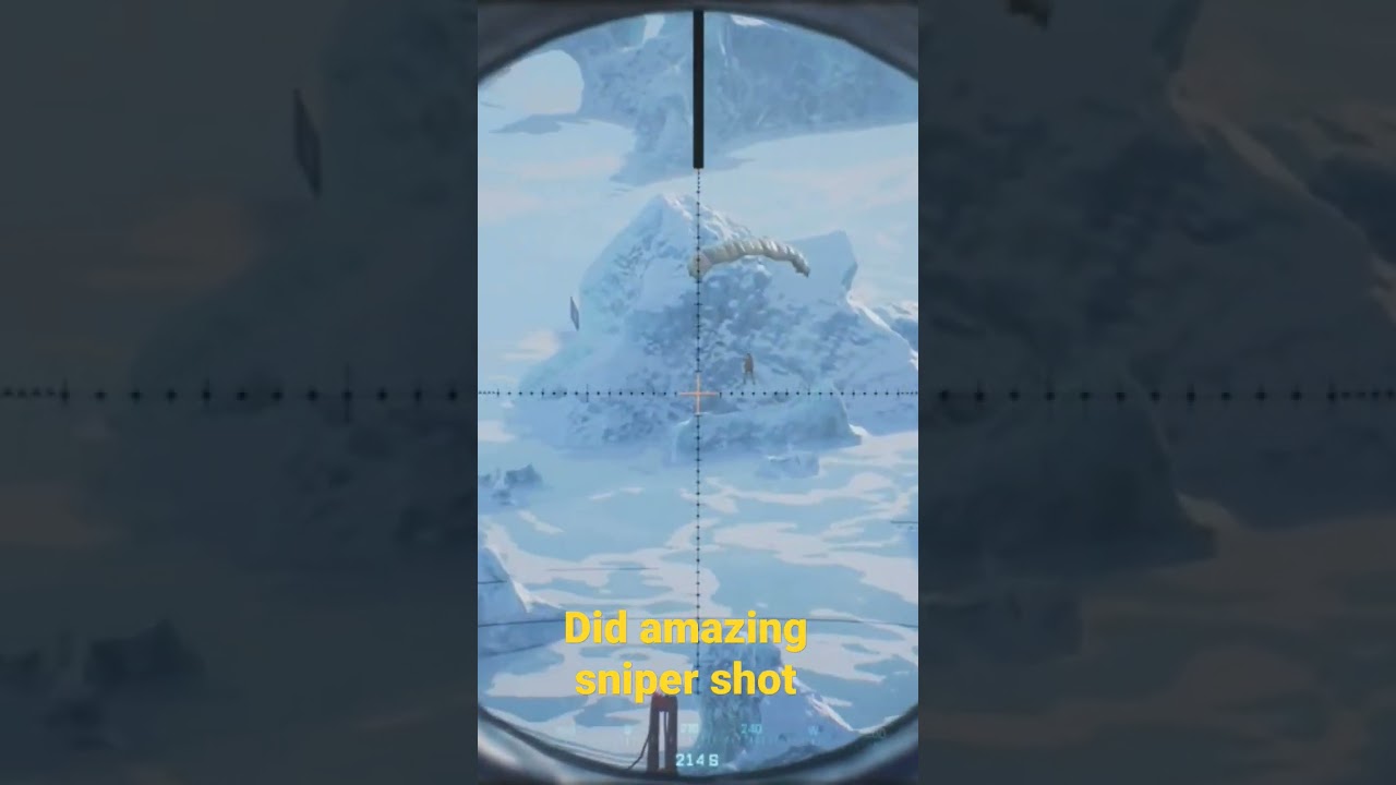 what a sniper shot on battlefield 2024
