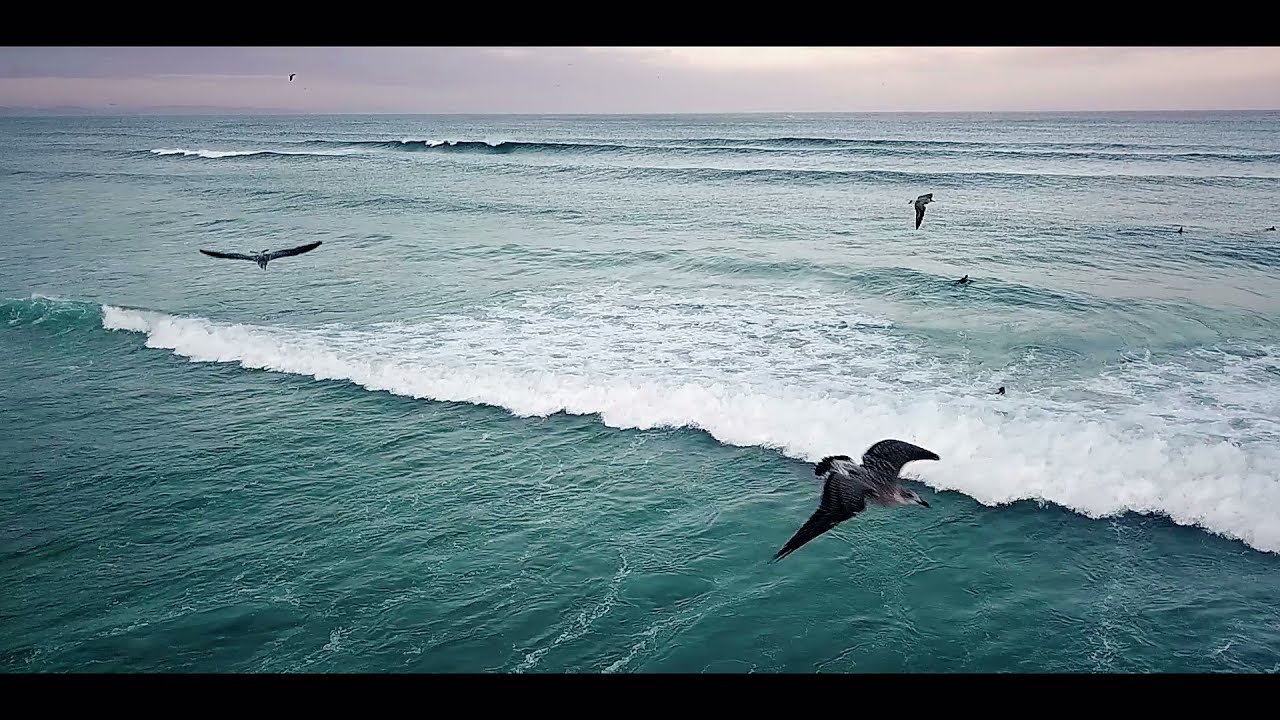 Camino Surfcamp Valdovi&ntilde;o, Galicia, Spain - It's not just surfing...
