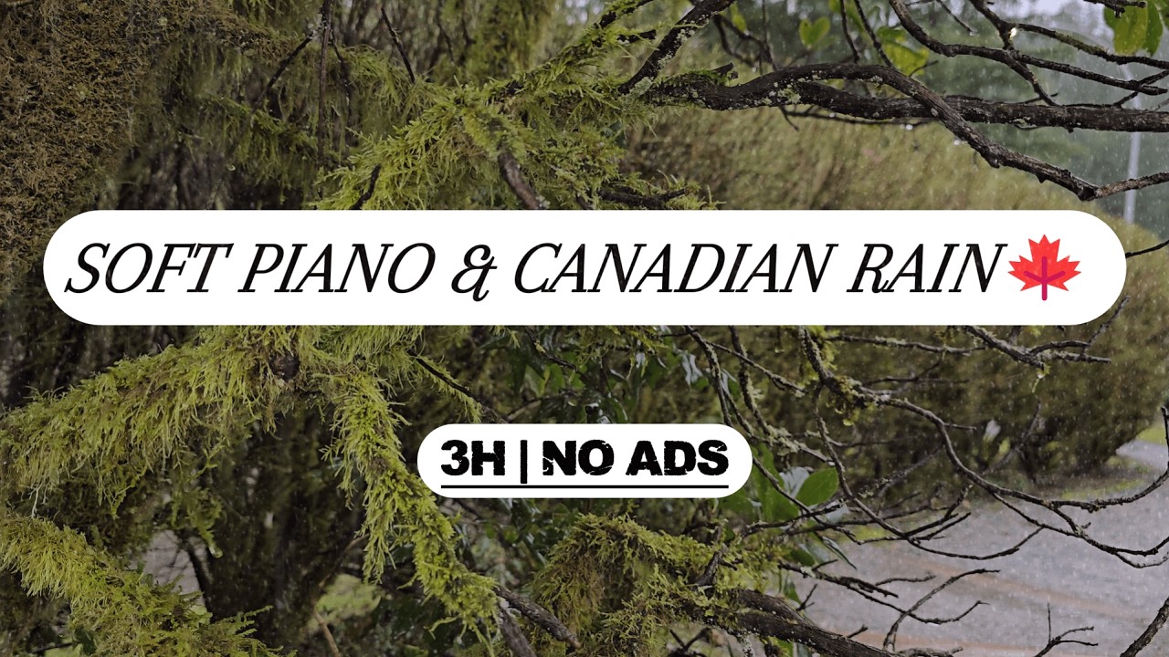 3 Hours of Gentle Rain & Soft Piano • Focus, Study, Relax