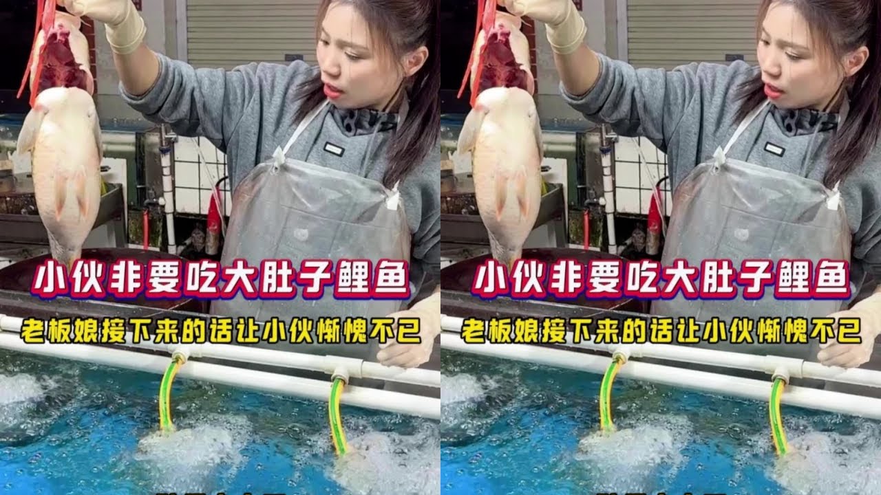 小伙非要吃大肚子鲤鱼，老板娘一句话让小伙羞愧不已
