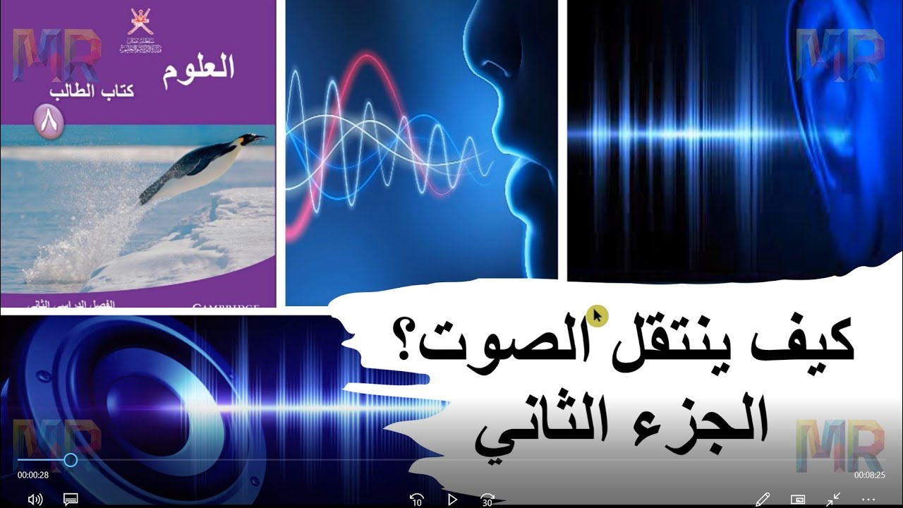 تمارين درس كيف ينتقل الصوت؟ للصف الثامن منهج كامبريدج