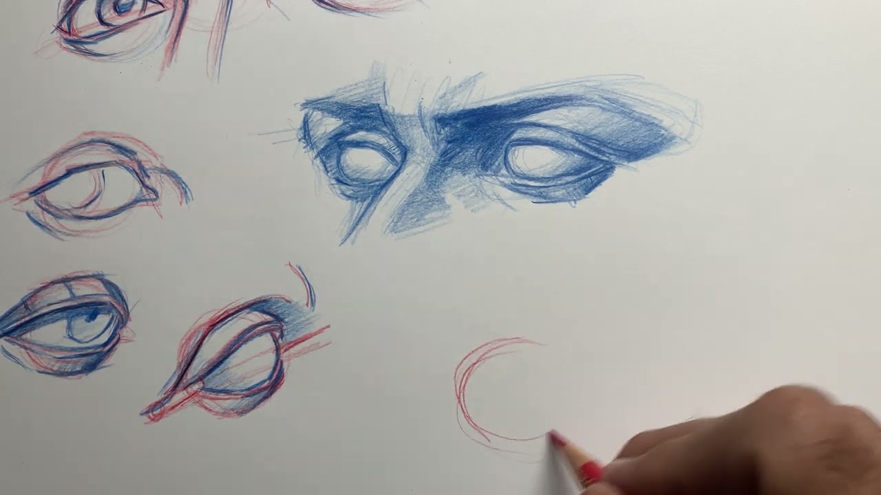 ELEMENTOS DEL ROSTRO: EL OJO 3