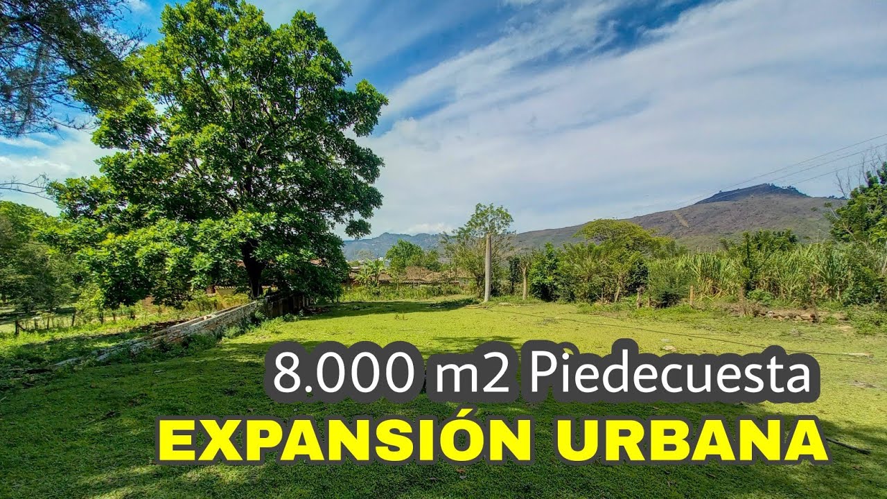 ‼️TERRENO DE 8.000 M2 EN EXPANSI&Oacute;N URBANA PIEDECUESTA‼️