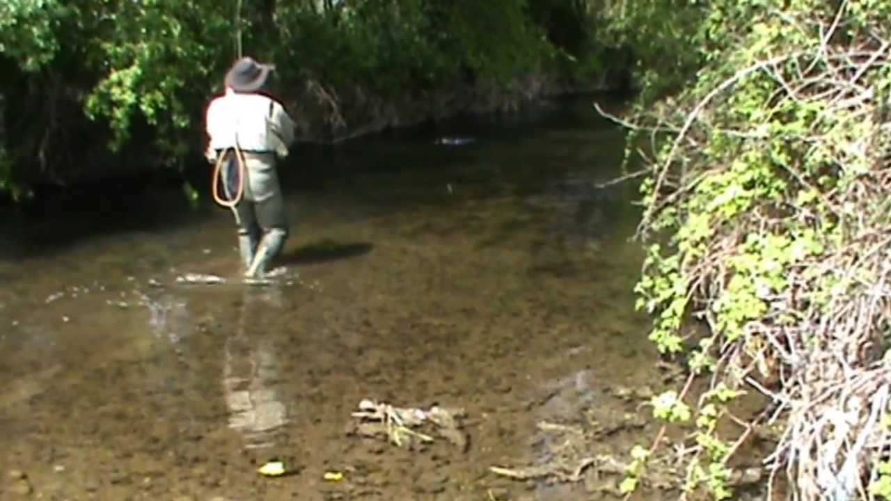 PECHE A LA MOUCHE EN IRLANDE 2013 LE PARADIS
