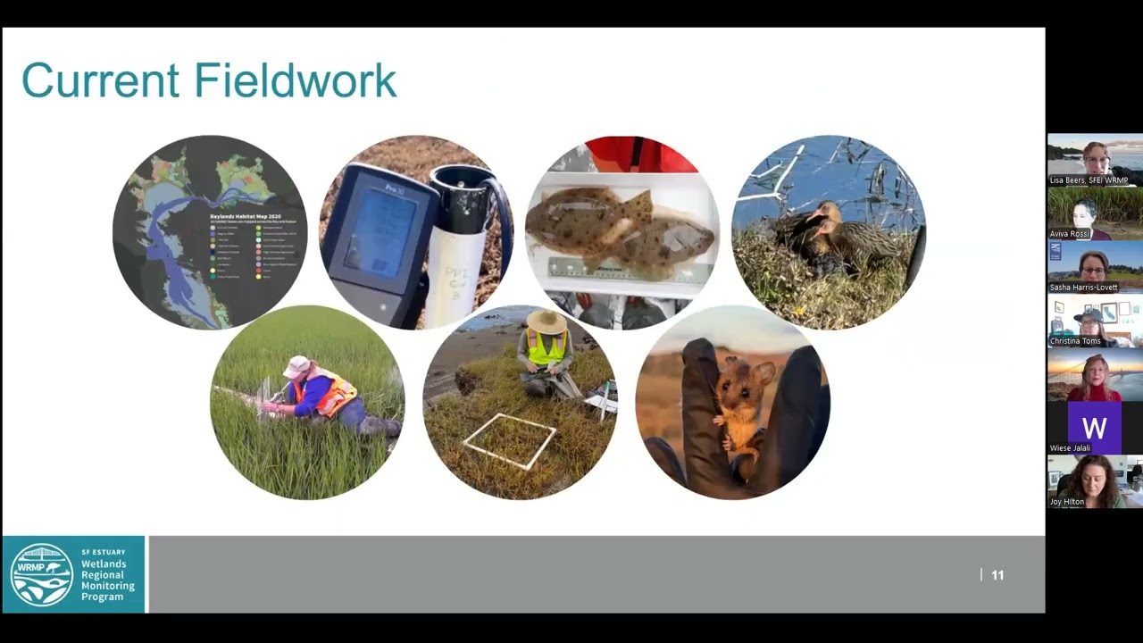 WRMP Profile Tool Webinar