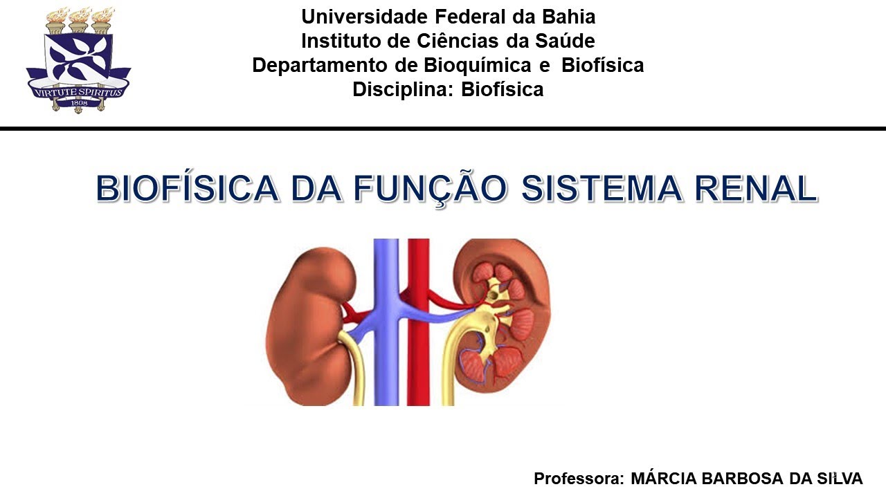 Biofísica da função renal parte 1  FSR, TFG e seu controle