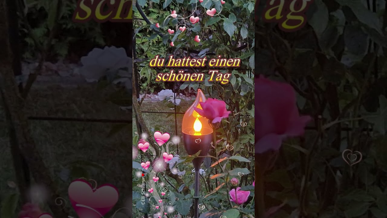 Abendstille und Romantik aus dem Garten ⭐