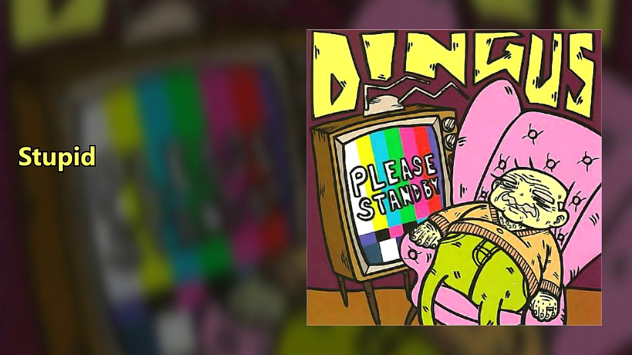 Dingus - Please Stand By [2007(Full HD)]