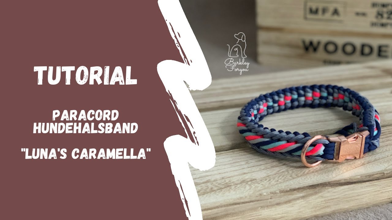 Luna's Caramella Paracord / Hundehalsbänder selber machen!