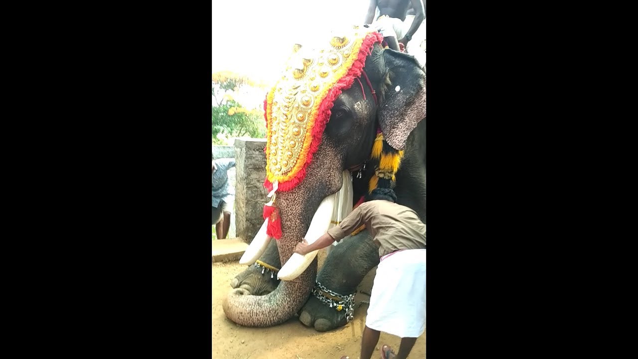 Chirakkal kalidasan