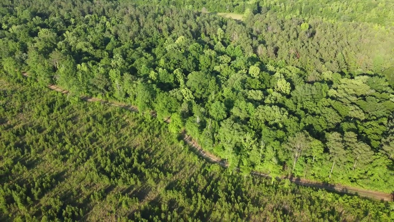 Clearcut views and East of Brush Creek