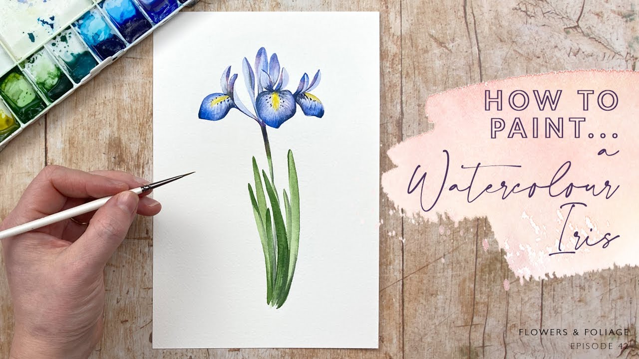 How To Paint A Watercolour Iris - Advanced