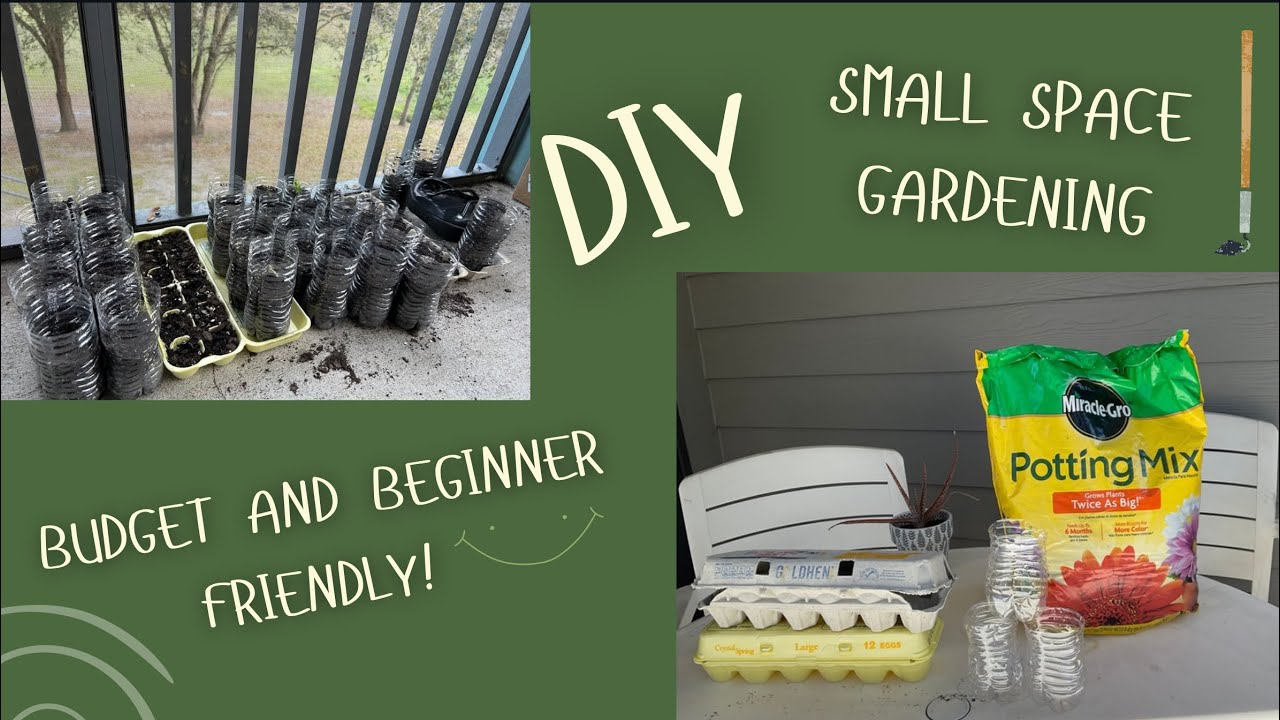 HOW TO: BUDGET friendly garden supplies in SMALL space for BEGINNERS 2025
