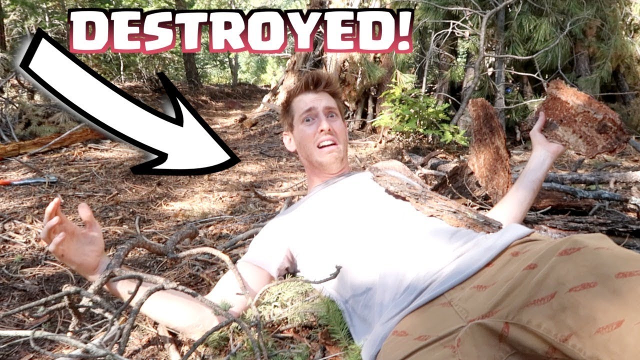 FOREST FORT WAS DESTROYED!