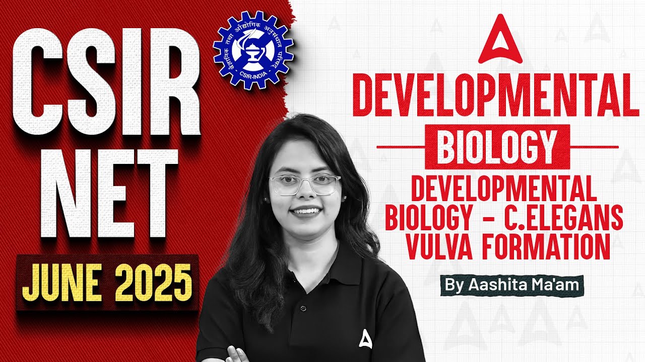 CSIR NET JUNE 2025 | Developmental Biology - C.elegans Vulva Formation | Aashita