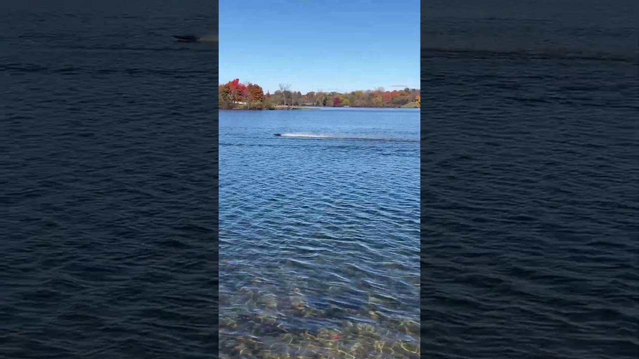 Proboat Recoil 2 26” race car. 