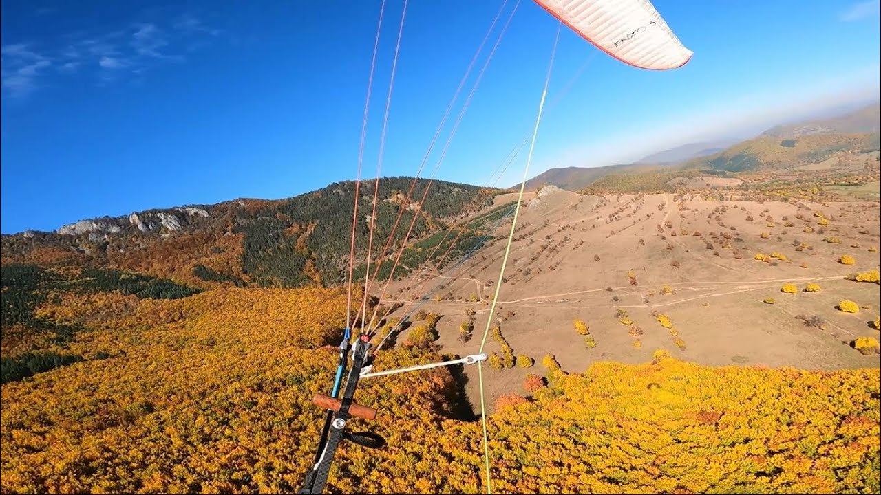 Autumn leaves don’t fall, they take their time and wander on their only chance to fly.