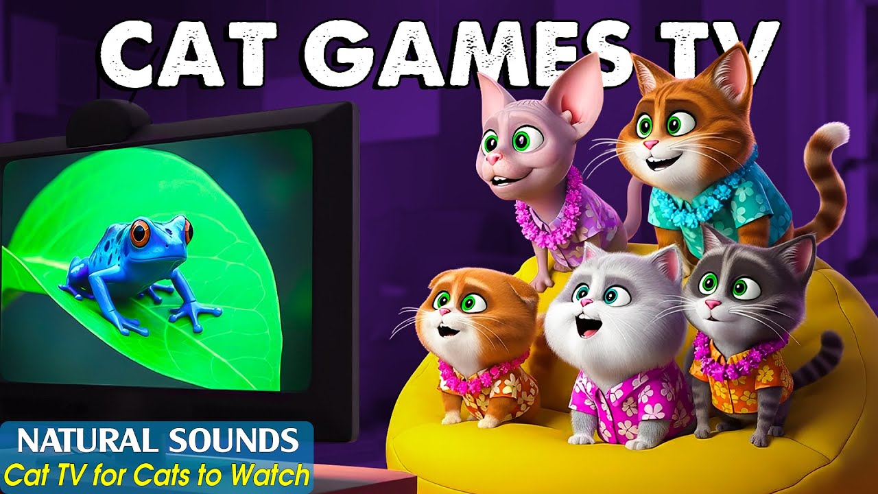 Interactive Cat TV－Stimulating Cat Games That Keep Cats Entertained Every Day 😸 Best Video for Cats