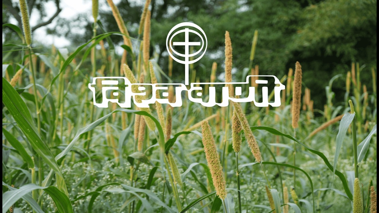 Companions of Truth -  Rev. Vijay Massey