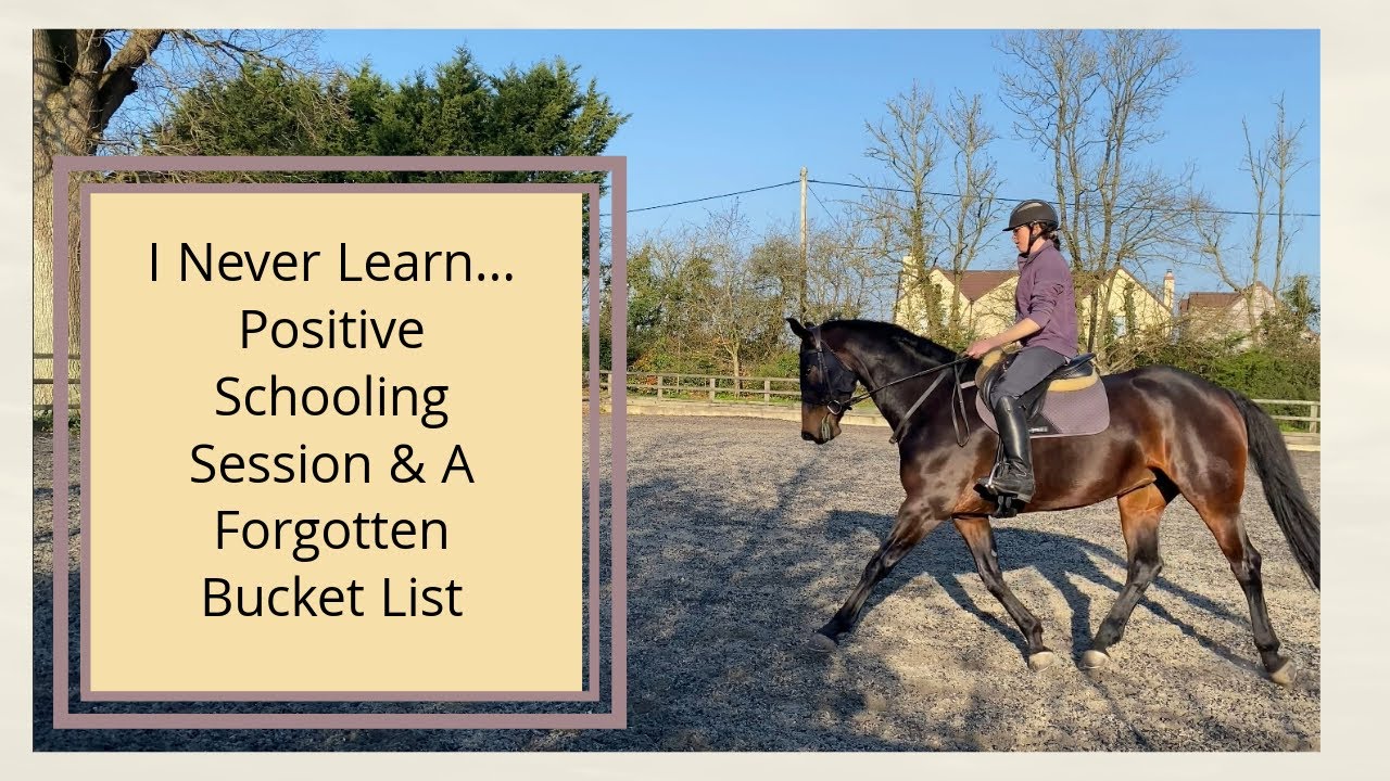 Я никогда не учусь… Видеоблог о верховой езде