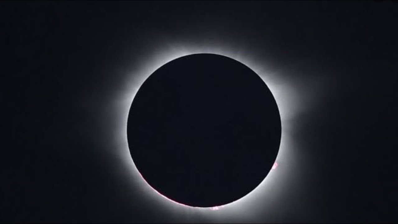 BLACK SUN | Beat Maker Pro