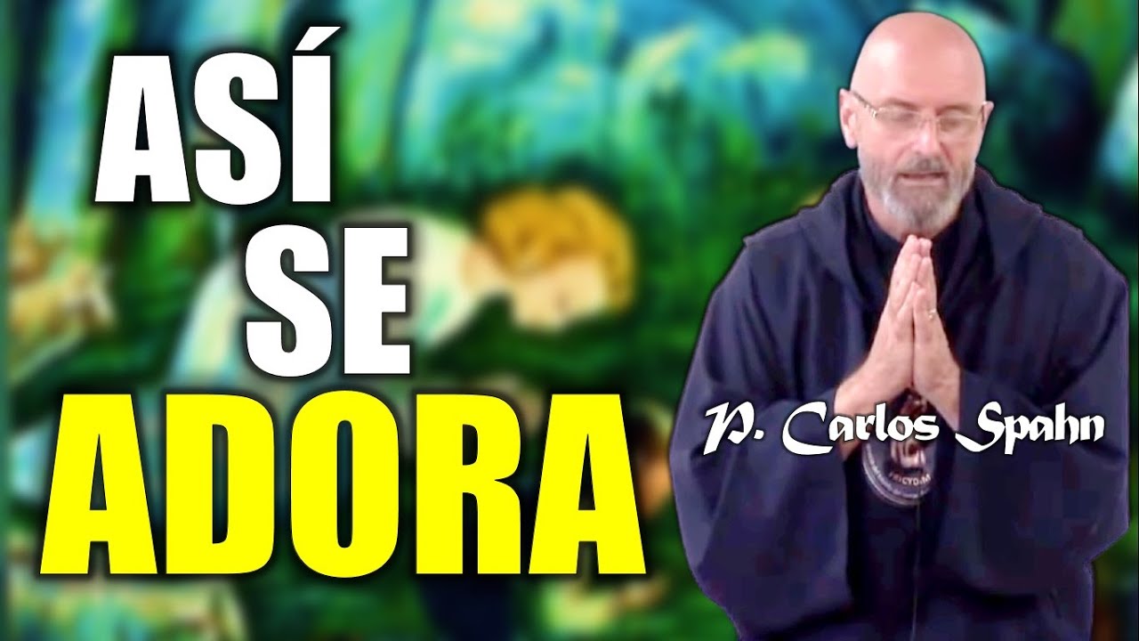 HAGAMOS DE ESTO UNA COSTUMBRE - P. Carlos Spahn