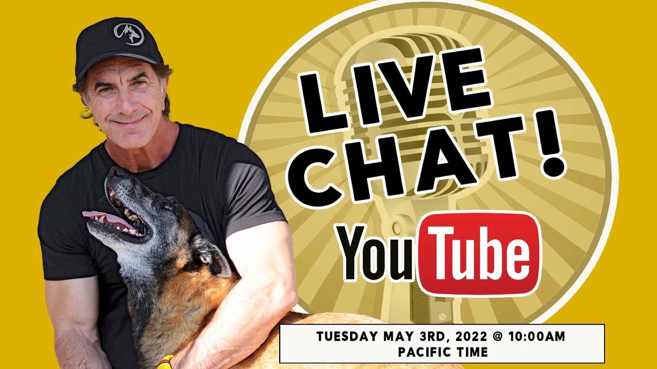 Dog Training LIVE Q&A for Dog Trainers and Owners