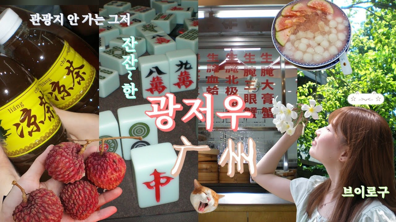광저우 브이로그 | 그냥.... 먹었어요 | 보자이판·량차·리치·시큼한 창펀 먹방 | 無계획 P 관광지0️⃣개 | 广州