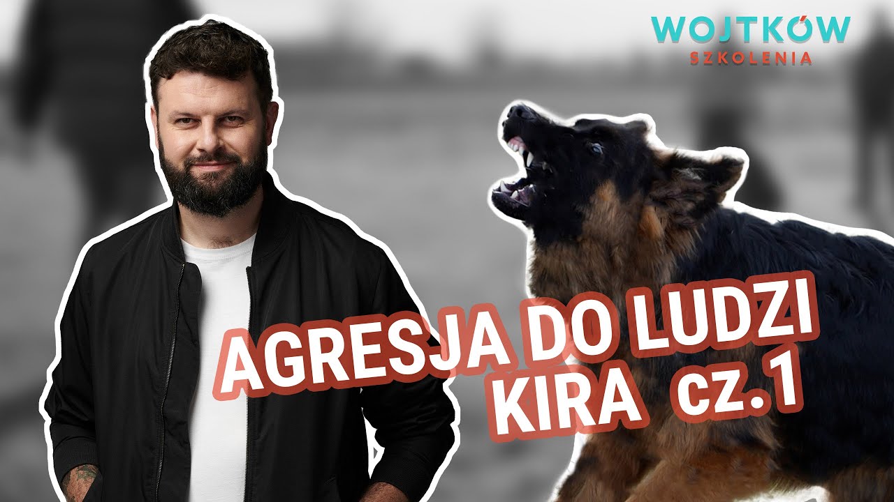 Mój pies się rzuca - Agresja psa do ludzi. Jak pracować z reaktywnym psem? Kira - Agresywny Owczarek