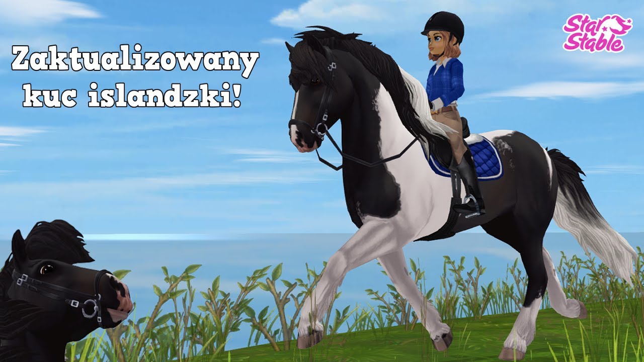 Kuc Islandzki 😝Aktualizacja SSO