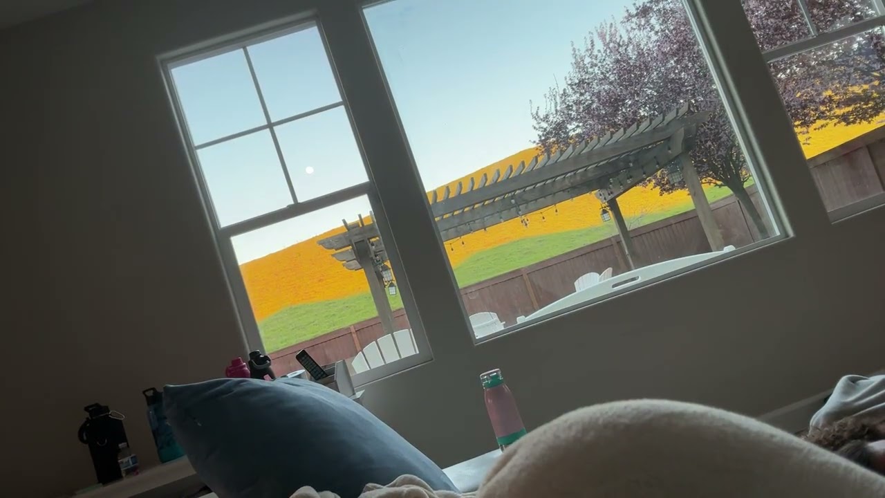 The first’s video of my channel 