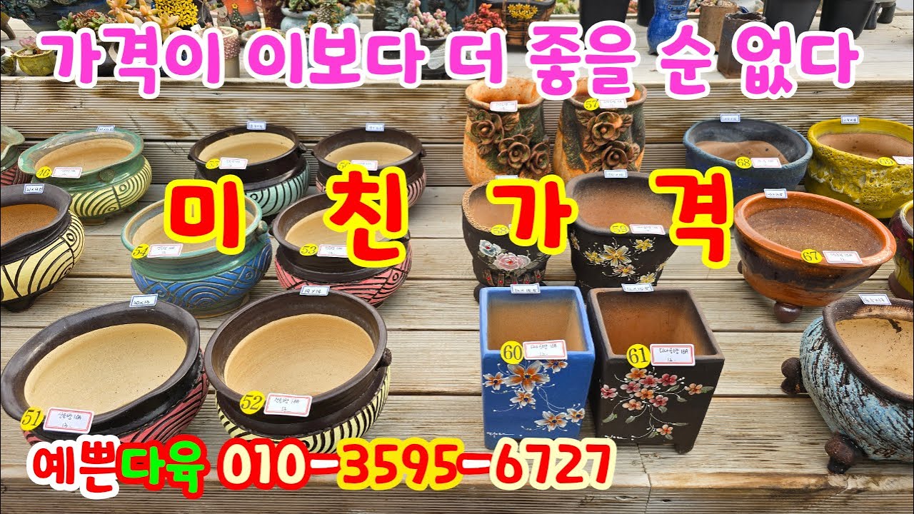 251110📍#예쁜다육 💥5종 모둠 2만원. 지당분 윤공방분 산토방분 토마루분 바이수분 꽃담분 본토분 달래분 토다원분 수분