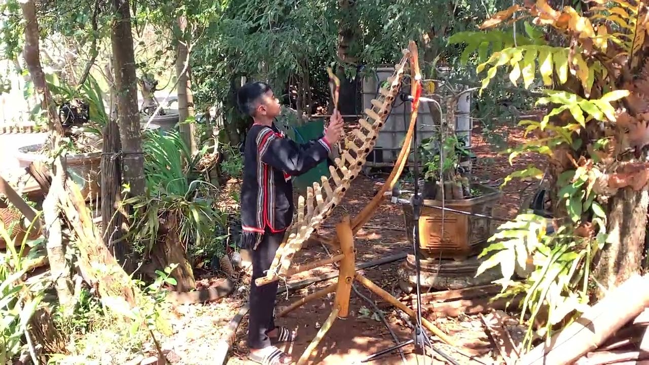 Despacito - độc tấu đàn T'Rưng