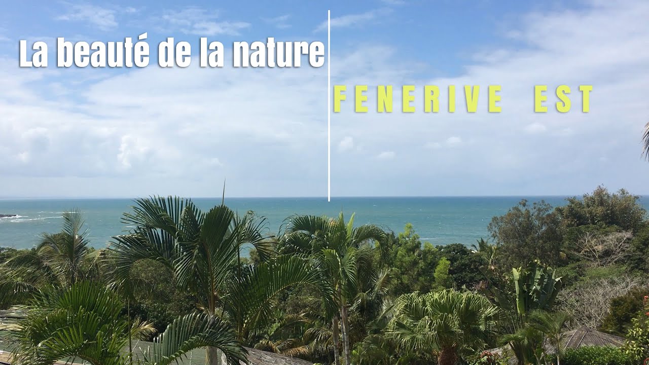 LA BEAUTE DE LA NATURE FENERIVE EST - MADAGASCAR 2022