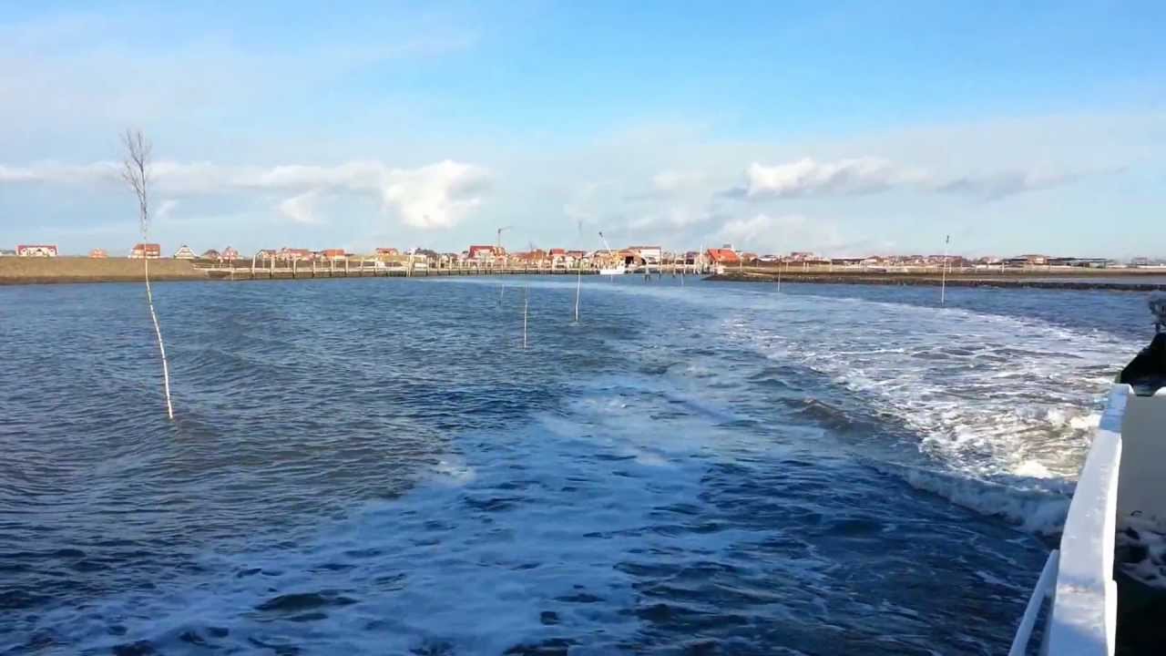 MS Baltrum III