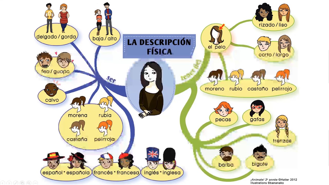 video description physique en espagnol