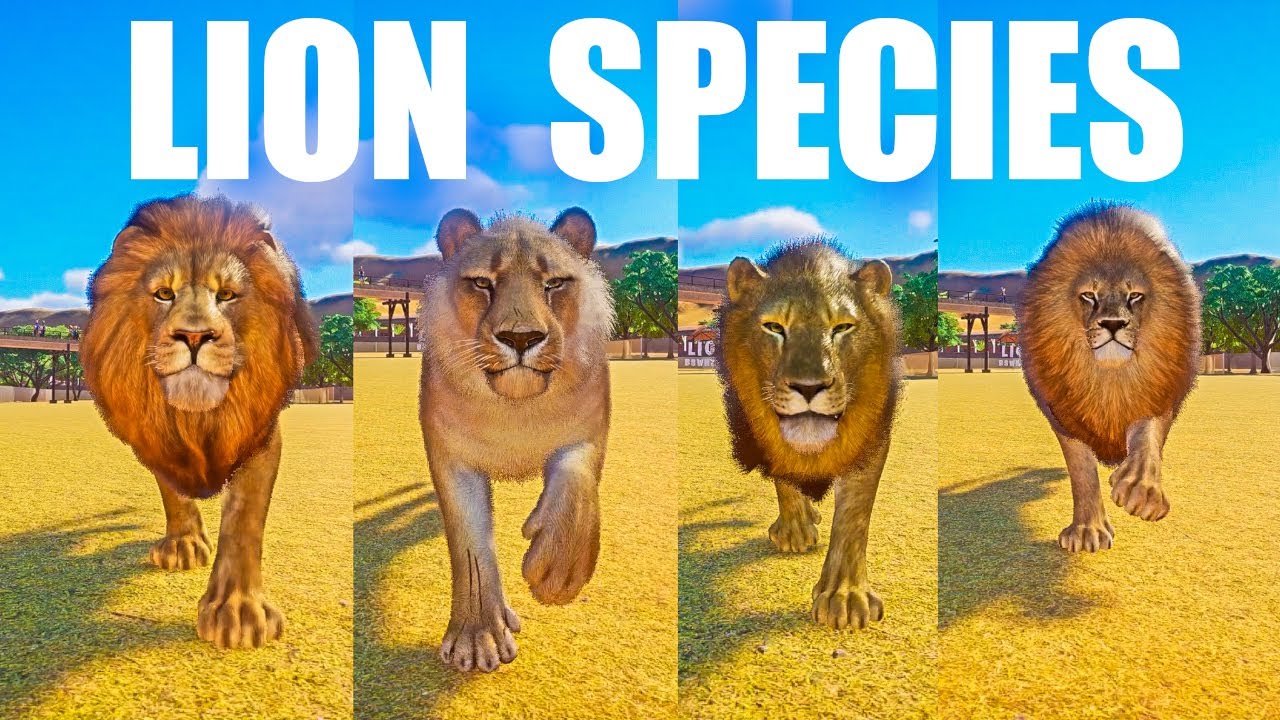 LION Species Speed Races in Planet Zoo includes Steppe Lion,  Barbary Lion, Northern Lion