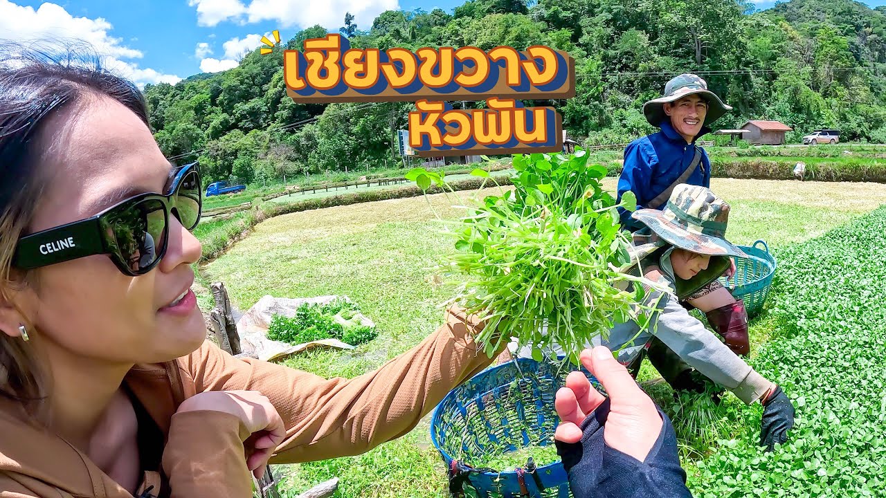 มาถึงจนได้ ซำเหนือ ครั้งแรก! Day3 | เที่ยวลาว 3แขวง