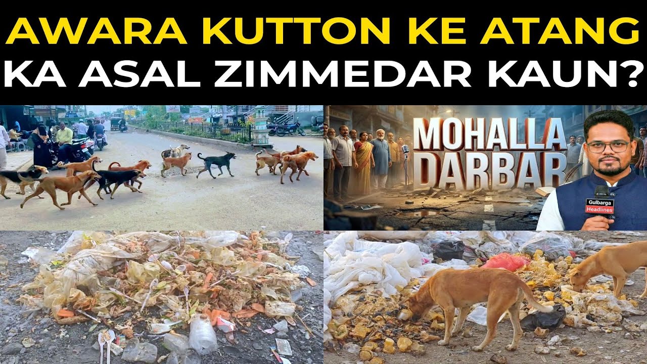 Mohalla Darbar | Awara Kutton ke Atang ka Asal Zimmedar Kaun?