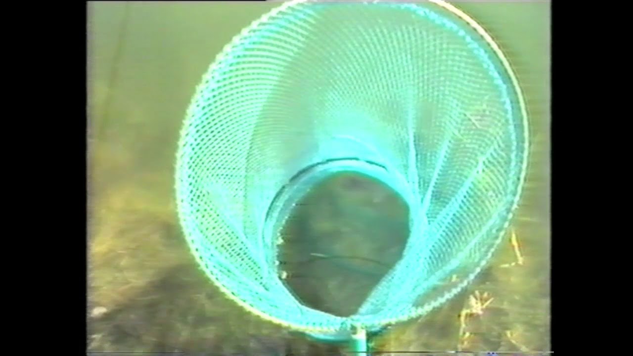 Angelprofis 1983-Biebesheim-Riedstadt-Gernsheim-Gro&szlig;-Gerau-Frankfurt-Wien