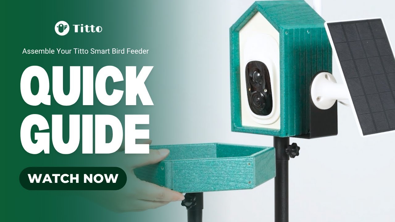 How to Assemble Your Titto 2-in -1 Smart Bird Feeder: Easy Steps Guide