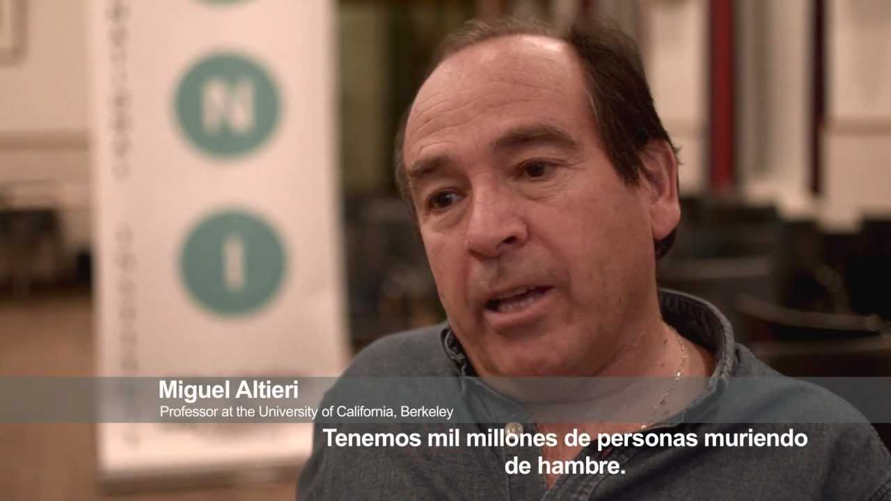 &iquest;Por qu&eacute; la agroecolog&iacute;a es la soluci&oacute;n al hambre y a la inseguridad alimentaria?