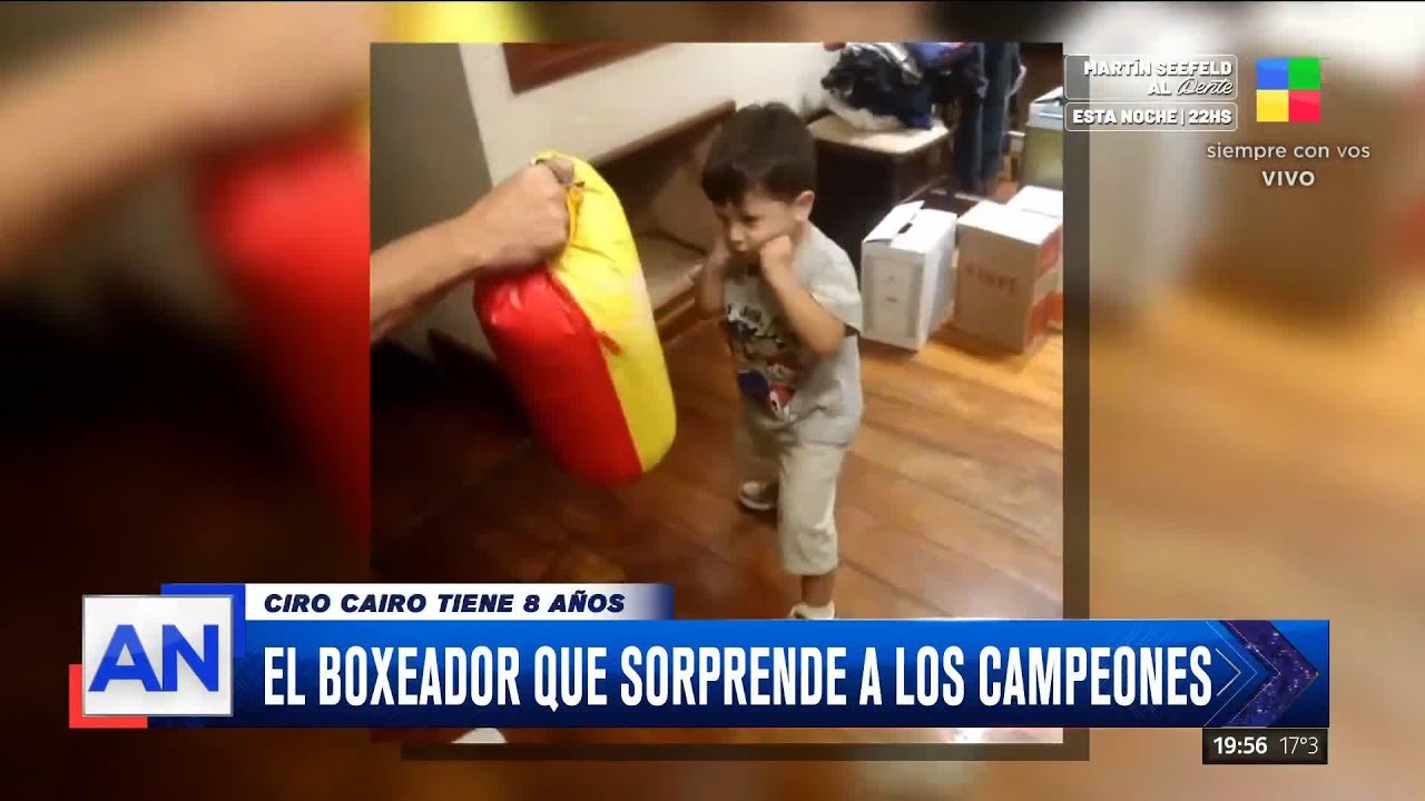 💪 Ciro: Un campeón en miniatura