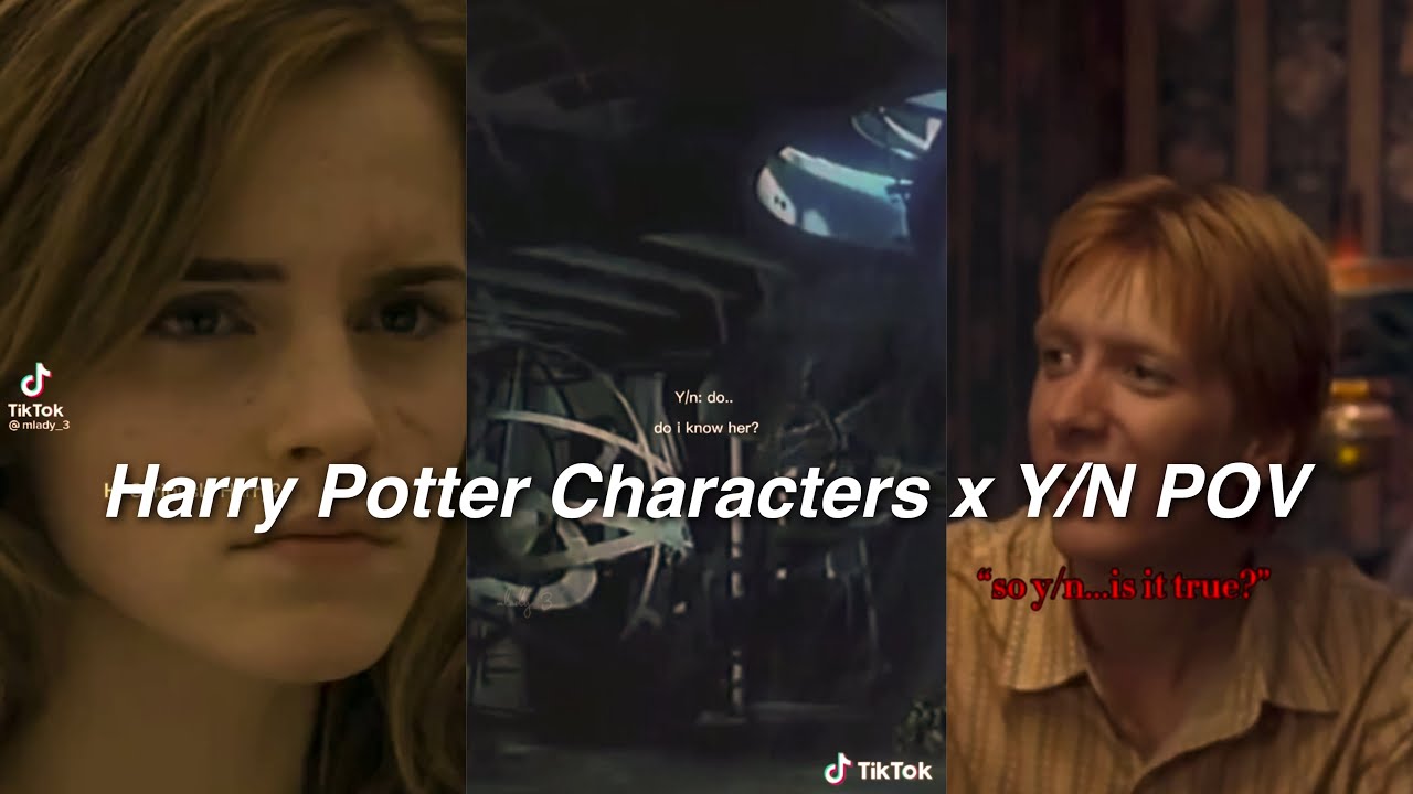 Harry Potter characters x Y/N TikTok POVs