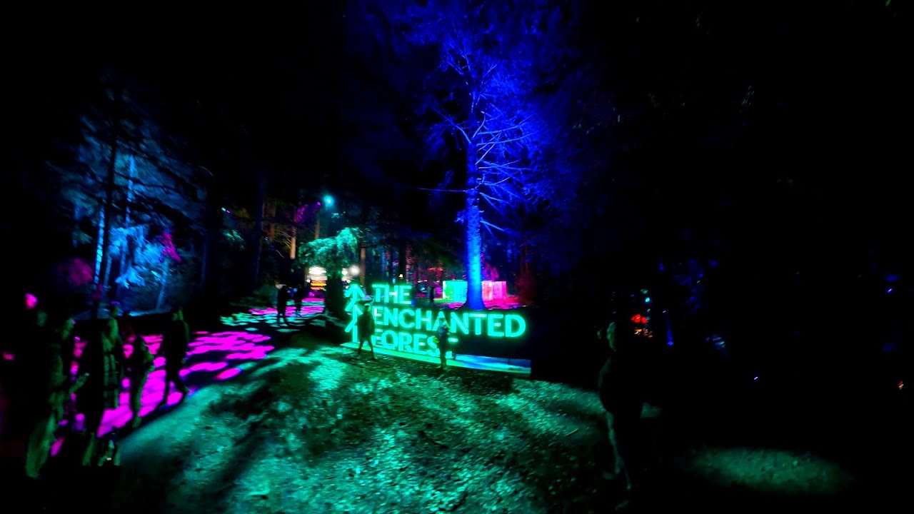 Luminara - The Enchanted Forest 2025 Pitlochry Scotland Osmo 360 8K